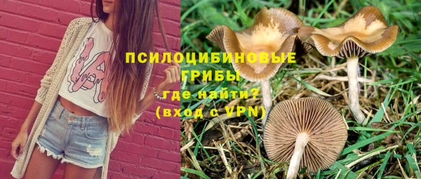мет Аркадак