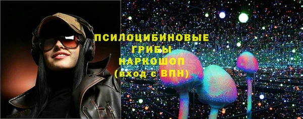 прущая мука Арсеньев