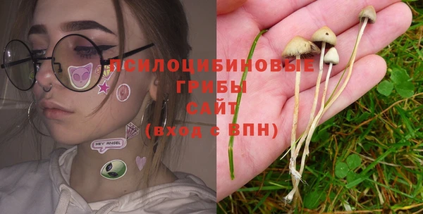 Альфа ПВП Армянск