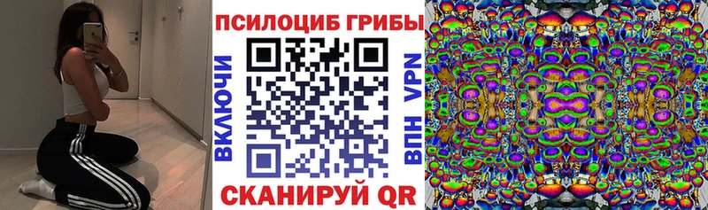 Псилоцибиновые грибы MAGIC MUSHROOMS  shop какой сайт  Сураж 