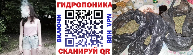 Каннабис MAZAR  Сураж 